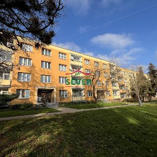 Prodej bytu 1+kk a garsoniéry 20 m² Postoloprty, Třebízského náměstí