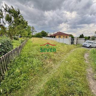 Prodej zahrady 380 m² Černčice