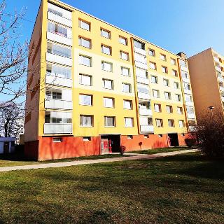 Pronájem bytu 1+1 36 m² Roudnice nad Labem, Bořivojova