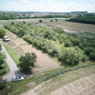 Prodej stavební parcely 4 966 m² Dolní Beřkovice