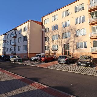 Pronájem bytu 1+kk a garsoniéry 22 m² Štětí, Školní