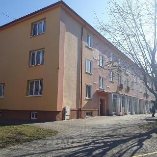 Prodej bytu 3+1 54 m² Štětí, Školní