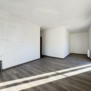 Prodej bytu 1+kk a garsoniéry 29 m² Polná, 