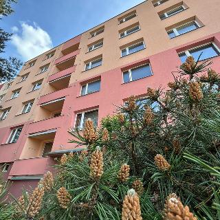 Prodej bytu 3+1 79 m² Jihlava