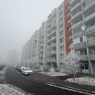 Pronájem bytu 3+1 74 m² Třebíč, Čeloudova