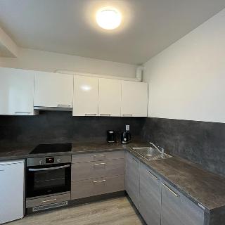 Prodej bytu 1+kk a garsoniéry 38 m² Brno, Rumiště