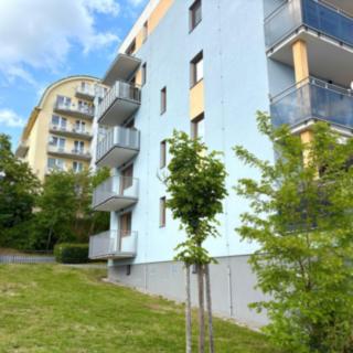 Prodej bytu 1+kk a garsoniéry 46 m² Třebíč, Modřínová