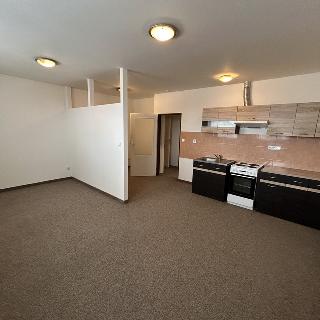 Pronájem bytu 1+kk a garsoniéry 39 m² Třebíč, Riegrova