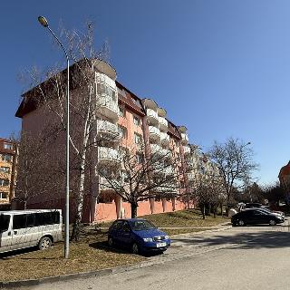 Pronájem bytu 2+1 56 m² Třebíč, I. Olbrachta