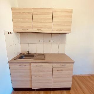 Pronájem bytu 1+kk a garsoniéry 20 m² Mnich, 