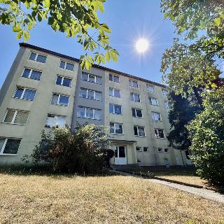 Prodej bytu 1+1 31 m² Třebíč, Obránců míru