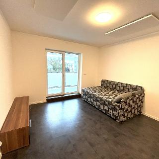 Pronájem bytu 1+kk a garsoniéry 40 m² Třebíč, 