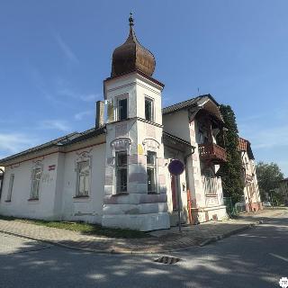 Prodej obchodu 290 m² České Velenice, Komenského