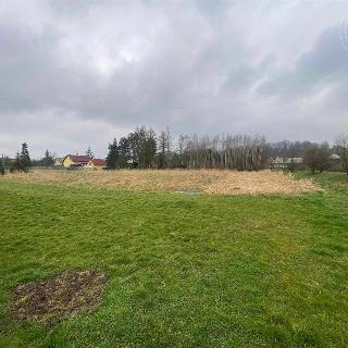 Prodej stavební parcely 3 842 m² Dětmarovice