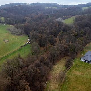 Prodej lesa 45840 m² Nový Jičín