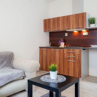 Pronájem bytu 1+kk a garsoniéry 20 m² Hranice, Teplická