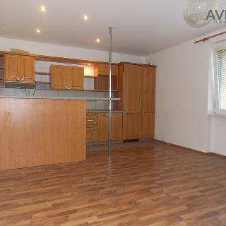 Prodej bytu 2+kk 50 m² Benešov, Červené Vršky