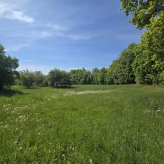 Prodej stavební parcely 961 m&sup2; Maršovice