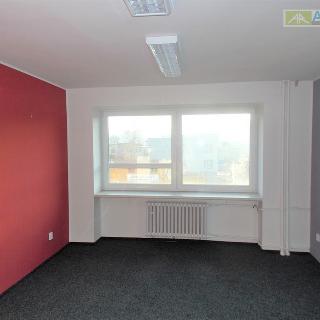 Pronájem kanceláře 35 m² Týnec nad Sázavou, 