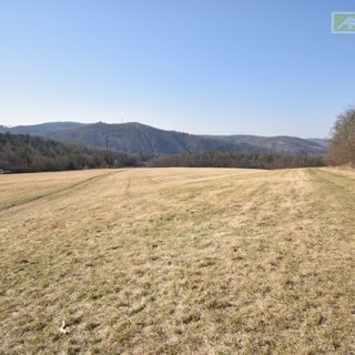 Prodej louky 31 358 m² Krňany