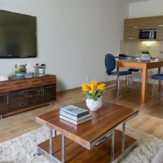 Pronájem bytu 1+kk, garsoniery 26 m² Olomouc