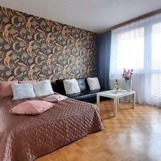 Pronájem bytu 1+1 33 m² Vyškov, Puškinova