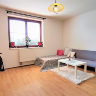 Pronájem bytu 1+kk a garsoniéry 42 m² Velešovice