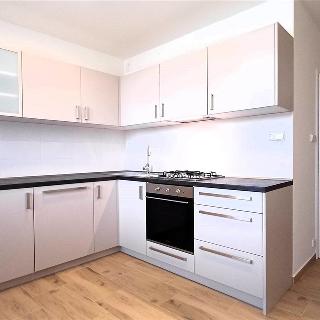 Pronájem bytu 1+1 37 m² Vyškov, Dukelská