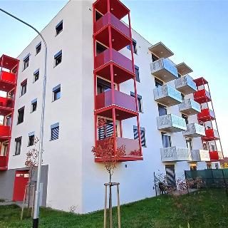 Pronájem bytu 2+kk 56 m² Vyškov, Hybešova