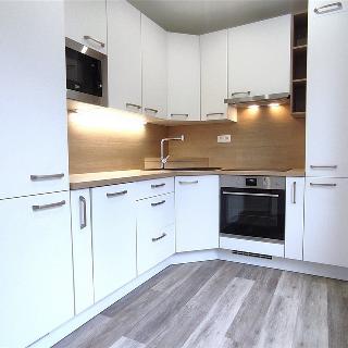 Pronájem bytu 3+1 64 m² Nížkovice