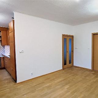 Pronájem bytu 3+kk 65 m² Pohořelice, Družstevní