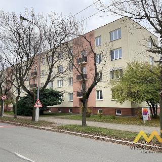 Pronájem bytu 2+1 54 m² Hradec Králové, třída SNP