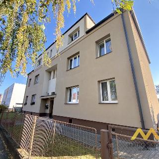 Pronájem bytu 1+kk a garsoniéry 38 m² Hradec Králové, Maxe Malého