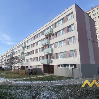 Prodej bytu 3+1 60 m² Hradec Králové, Na Kotli