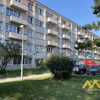 Prodej bytu 3+1 60 m² Hradec Králové, Severní