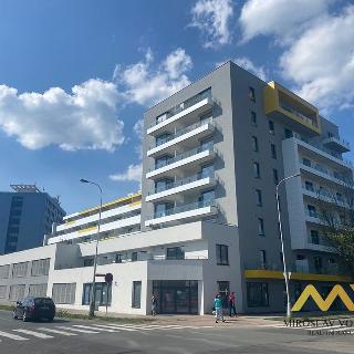 Pronájem bytu 2+kk 57 m² Hradec Králové, Kubelíkova