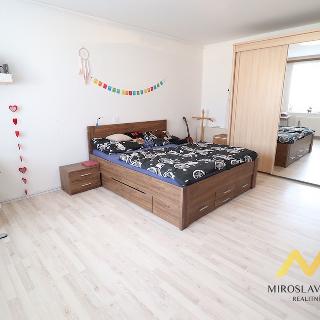 Pronájem bytu 1+1 45 m² Hradec Králové, Zamenhofova