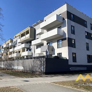 Pronájem bytu 2+kk 56 m² Hradec Králové, Kejzlarova