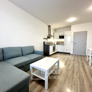 Pronájem bytu 2+kk 62 m² Moravany, Jabloňová