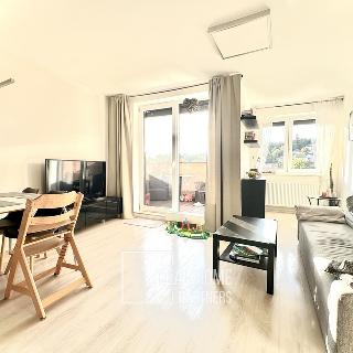 Prodej bytu 3+kk 67 m² Brno, Královopolská