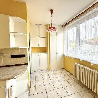 Prodej bytu 3+1 74 m² Hanušovice, Krátká