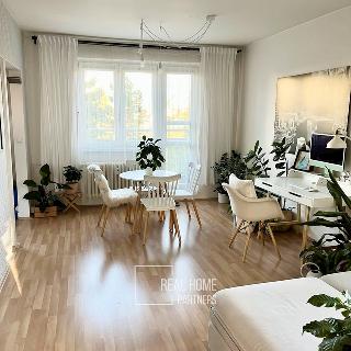 Pronájem bytu 2+kk 65 m² Brno, Jílová