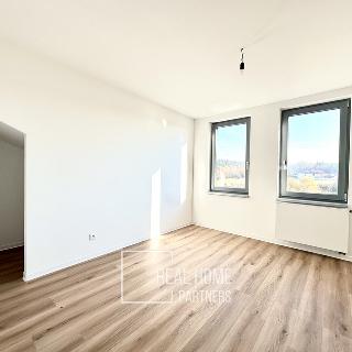 Prodej bytu 3+kk 89 m² Hostěnice, 