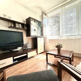 Pronájem bytu 1+kk, garsoniery 42 m² Brno