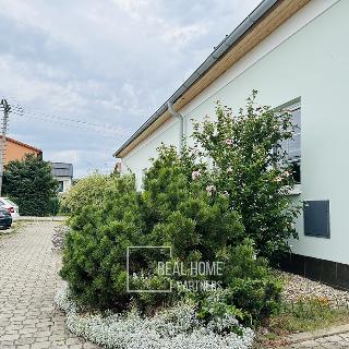 Pronájem rodinného domu 91 m² Brno, Krušinova