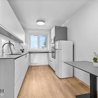 Pronájem bytu 2+1 61 m² Staré Město, Zerzavice