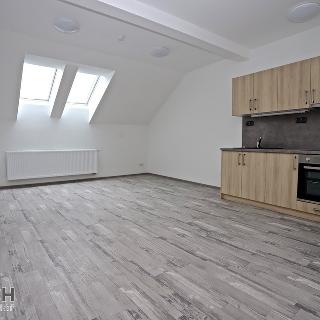 Pronájem bytu 1+kk a garsoniéry 37 m² Uherské Hradiště, Prostřední