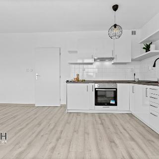 Pronájem bytu 1+kk, garsoniery 40 m² Náchod