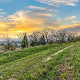 Prodej zemědělské půdy 750 m² Uherské Hradiště, 