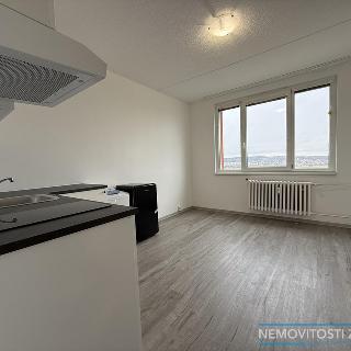 Pronájem bytu 1+kk a garsoniéry 20 m² Znojmo, Holandská